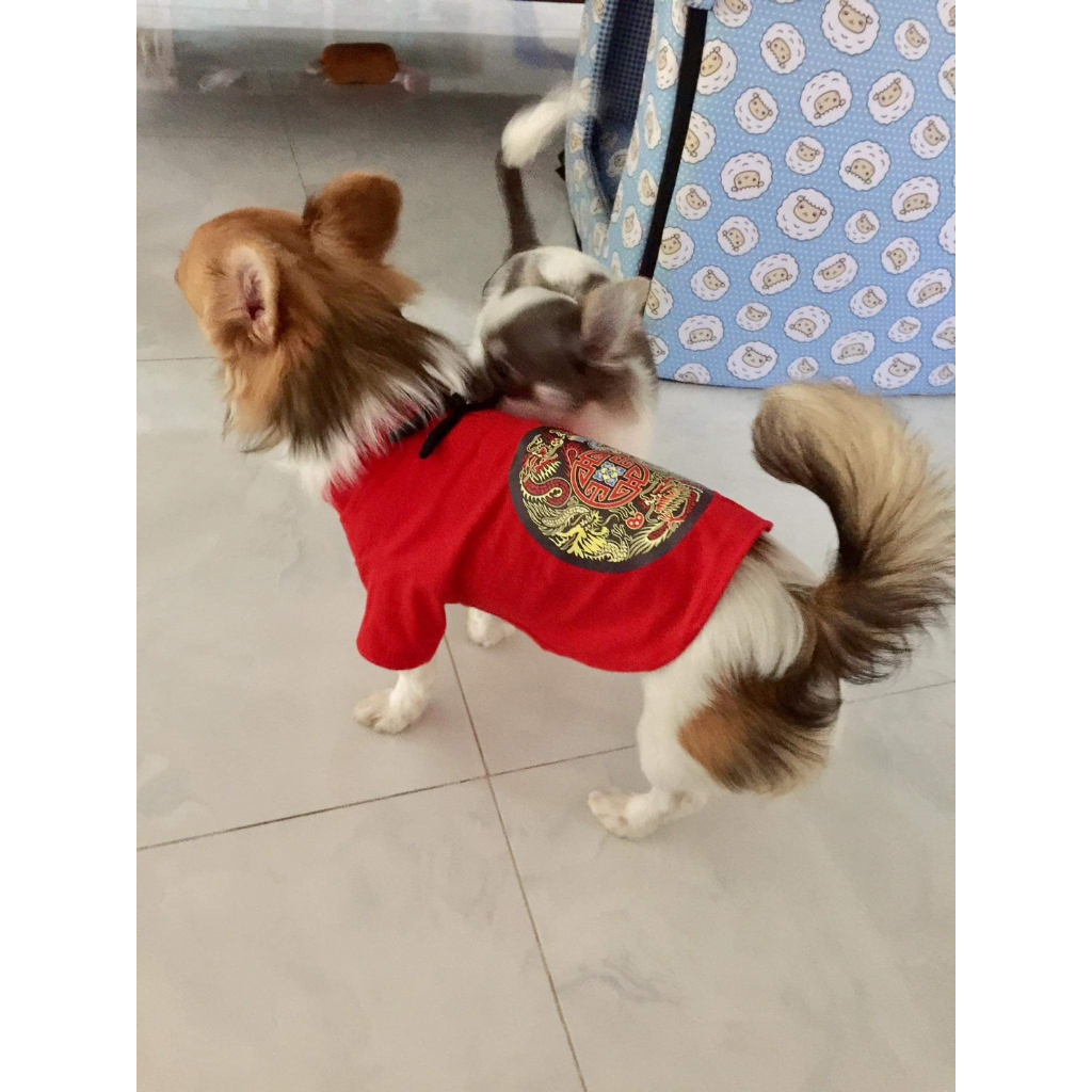 PetSociety เสื้อสุนัข-แมว เสื้อยืดคอจีน แต่งกระดุม ชุดเทศกาลตรุษจีน - รูปที่ 4