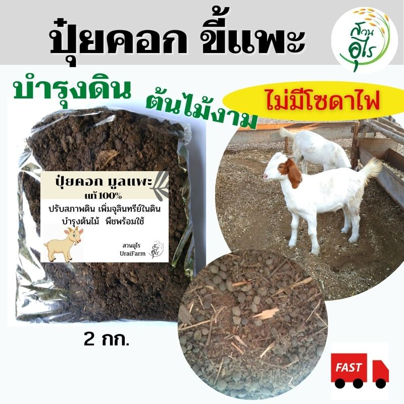 ปุ๋ยคอก ขี้แพะ แท้100% ไม่มีโซดาไฟ 5 กก คุณภาพ ปรับสภาพดิน เร่งการญเติบโตของพืช ใช้เลี้ยงไส้เดือน มูลสัตว์ ปุ๋ยอินทรีย์