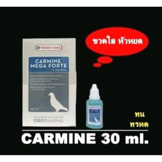 VSL Carmine ( แบ่งขาย ) เสริมความทนทาน ป้องกันตะคริว สร้างกำลังสะสม ขวดใส หัวหยด 30 ml.