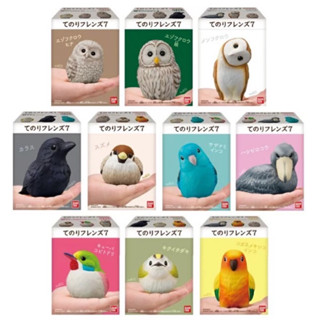 📌สินค้าเข้าใหม่ 🅟🅕 BANDAI CANDY: Tentori Friends งานกล่องโมเดลนกหลากหลายสายพันธุ์  🦅 🦢 🦉🦆🐥