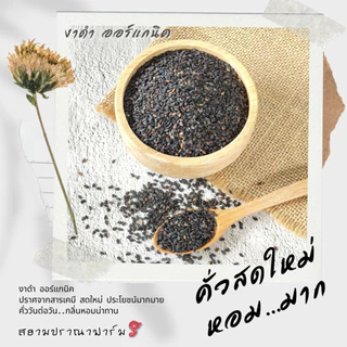 (เมล็ดงาดำคั่วกระป๋อง)ออร์แกนิค 120 บาท ขนาด 250 กรัม งาดำออร์แกนิคคั่วแล้วพร้อมทาน งาดำอินทรีย์ คั่วใหม่ตามออเดอร์
