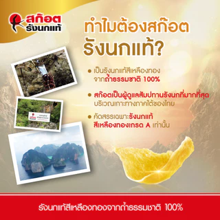 [3แถม1] Scotch สก๊อต รังนกแท้ รอเยลโกลด์ น้ำตาล0% 40 มล. แพ็ก 12 ขวด จำนวน 3 แพ็ก แถม 1 แพ็ก จัดส่งฟรี! 燕窝 Bird's nest