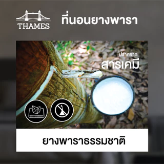 Thames ที่นอนยางพาราแท้ 100% Soft ลดล้างสต๊อก เพื่อสุขภาพ ฉีดขึ้นรูป ผลิตในไทย topper