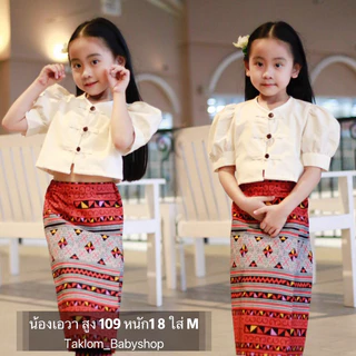 ชุดพื้นเมือง เสื้อแขนตุ๊กตา ซิ่นผ้าฝ้ายพิมพ์ลายคุณภาพดี เนื้อผ้าหนา (ราคาเฉพาะชุด)