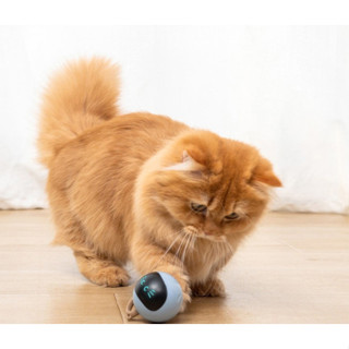 FOFOS ของเล่นแมว ลูกบอลแมว 360 Degree Self Rotating Cat Toy Ball ของเล่นแมว ของเล่นแมวอัตโนมัติ ลูกบอล