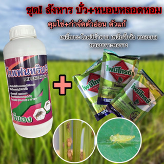 ชุด!กำจัดบั่ว+หลอดหอม ทีเดียวจบ คุมไข่+กำจัดตัวอ่อน ตัวแก่ เพลี้ยกระโดดสีน้ำตาล เพลี้ยจั๊กจั่น หนอนกอ หนอนเจาะคอรวง