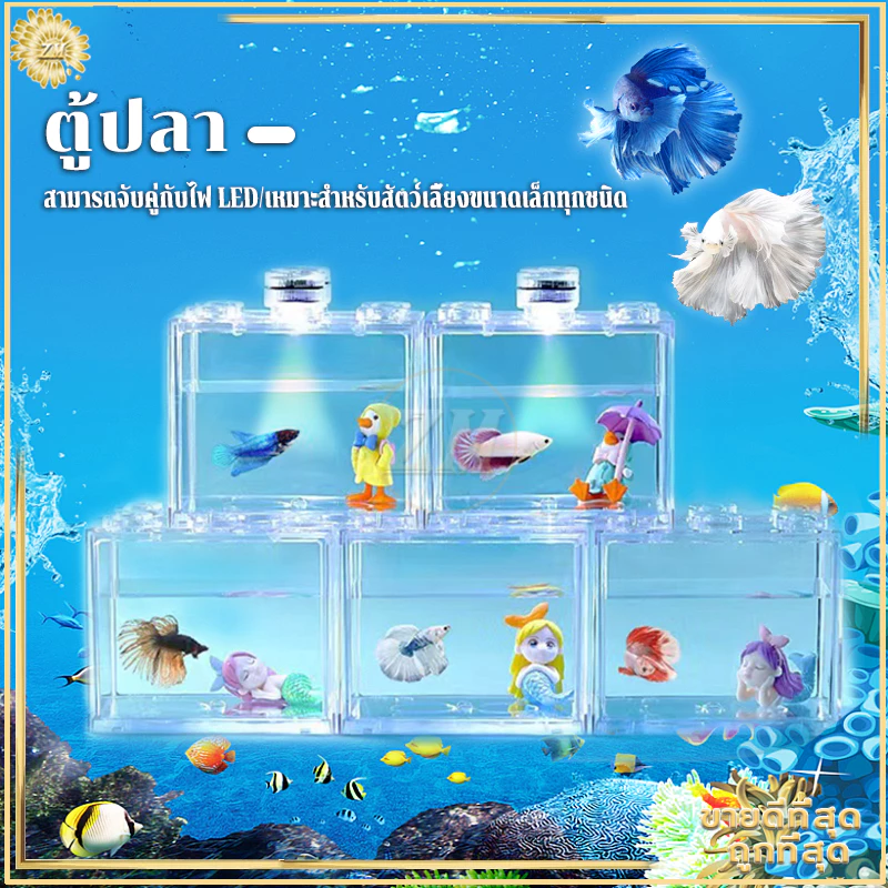 ตู้ปลาเลโก้ขนาดเล็ก  เหมาะสำหรับสัตว์เลี้ยงขนาดเล็กทุกชนิด สามารถจับคู่กับไฟ LED thumbnail 3