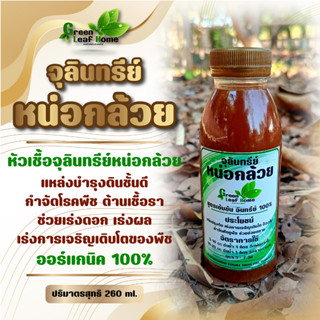 จุลินทรีย์หน่อกล้วย หัวเชื้อคุณภาพ ขนาด 260Ml บำรุงดิน เร่งการเจริญเติบโต ฮอร์โมนพืช บำรุงดิน