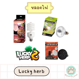 หลอดเซรามิก UVA UVB อินฟราเรด หลอดไฟให้ความอบอุ่นแก่สัตว์เลี้ยง สัตว์เลื้อยคลาน