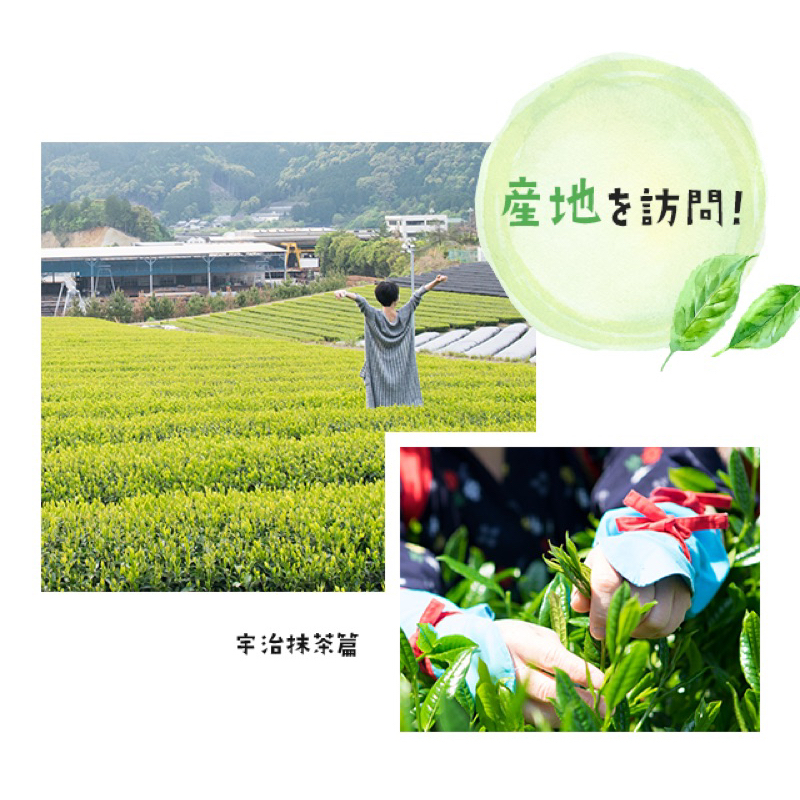 (รอบส่ง 15 กุมภาพันธ์) JIMOTO Pocky: ป็อกกี้ยักษ์ 18 ชิ้น สุดยอดของดีจาก 8 จังหวัดในญี่ปุ่น - รูปที่ 4