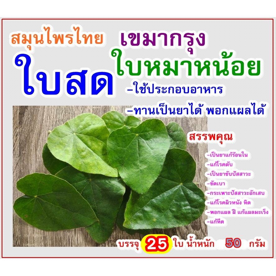 ใบหมาน้อย หรือเขมากรุง ใบสด สมุนไพรไทย (30-50ใบ) 50-60กรัม