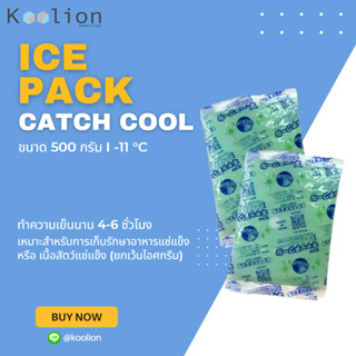 Ice Pack : Catch Cool MCH เจลเก็บความเย็น อุณหภูมิ -11 °C ขนาด 500 กรัม เจลเก็บความเย็นแบบซอง