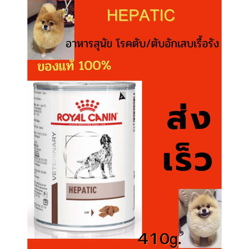 อาหารสุนัข แบบเปียก โรคตับ หรือตับอักเสบเรื้อรัง HEPATIC royal canin