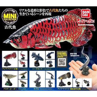 (เพิ่ม 4 แบบพร้อมส่ง) กาชาปองปลาอโรวาน่าปลาโบราณ Gashapon Bandai Arowana Ancient Fish Mini Collection Vol.01 โมเดลสัตว์