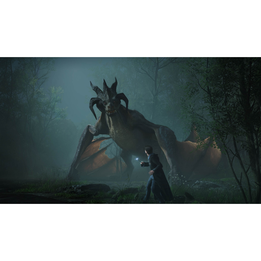 Hogwarts Legacy Ps4 Game แผ่นแท้มือ1!!!!! (Hogwart Legacy Ps4)(Hogwarts Ps4)(Hogwart Ps4)