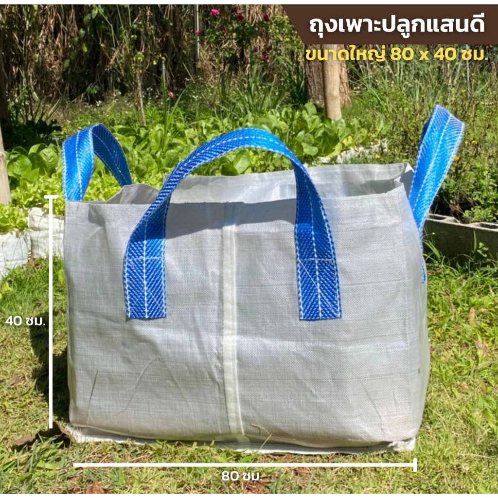 ถุงปลูก​ แบบมีหูหิ้ว​ ขนาด 80 x 40 ซม. ใบใหญ่มาก