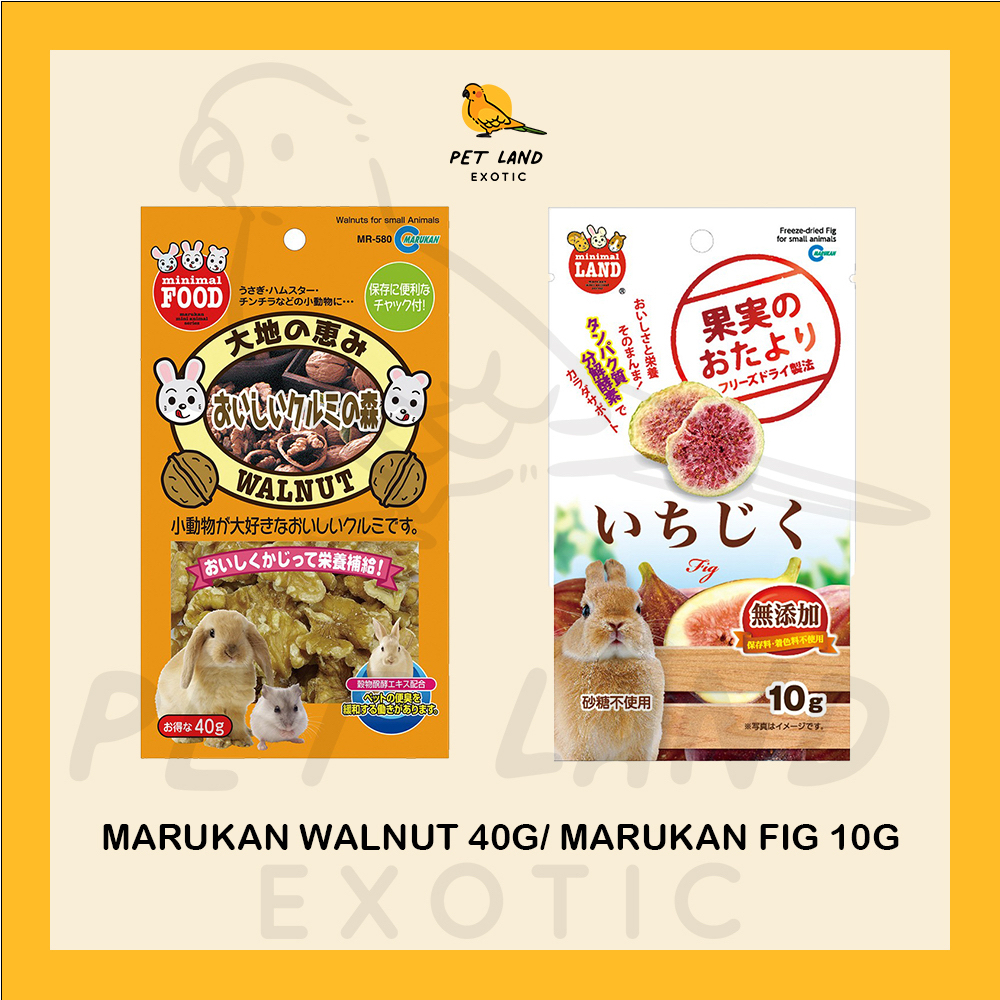 #Marukan #วอลนัท #ลูกฟิก #สัตว์เลี้ยง #MR580