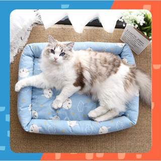 [🚚 พร้อมส่ง] Iris Summer Pet Mat ที่นอน เบาะนอน ที่นอนแมว ที่นอนสุนัข ที่นอนสัตว์