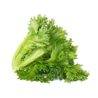 100 เมล็ด เมล็ดพันธุ์สลัด ฟิลเลย์ไอซ์เบิร์ก (Frillice Ice Berg Lettuce)