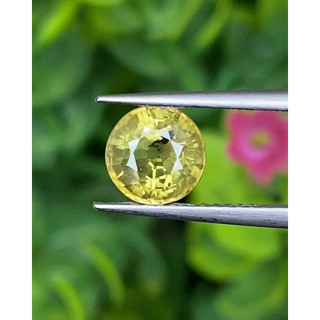 พลอย บุษราคัม Yellow Sapphire 2.01 กะรัต (Cts.)