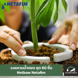 Netafim วงแหวนน้ำหยด Netbow เนต้าฟิม 60 ชิ้น