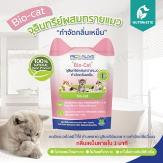 Bio-Cat นวัตกรรมจุลินทรีย์ธรรมชาติผสมทรายแมว กำจัดกลิ่นฉี่ กลิ่นเหม็นหายทันที ไม่ต้องเปลี่ยนทราย กำจัดเชื้อรา-แบคทีเลีย