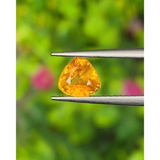 พลอย บุษราคัม Yellow Sapphire 0.99 กะรัต (Cts.)