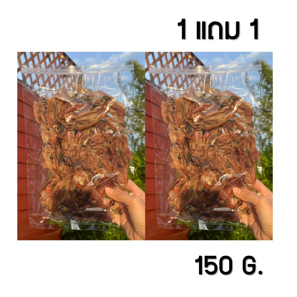 ปลาหมึกแห้ง หมึกกระตอยไข่แห้ง 150กรัม 1แถม1 / 500กรัม