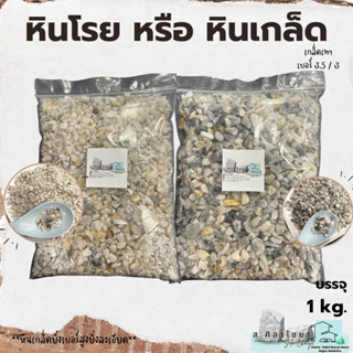 🪴 หินเกล็ด สีเทา เกรด A  เบอร์ 3,3.5 บรรจุ 1 kg. หินโรยกระถาง 🪴🪴 หินโรยหน้ากระถาง หินตกแต่งสวน หินแคดตัส 🪴