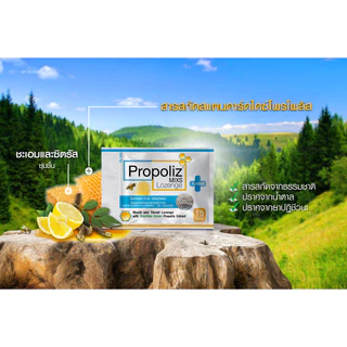 โพรโพลิซ ลูกอม Propoliz Lozenge Plus 8 เม็ด / Propoliz Mixs Lozenge 15 เม็ด
