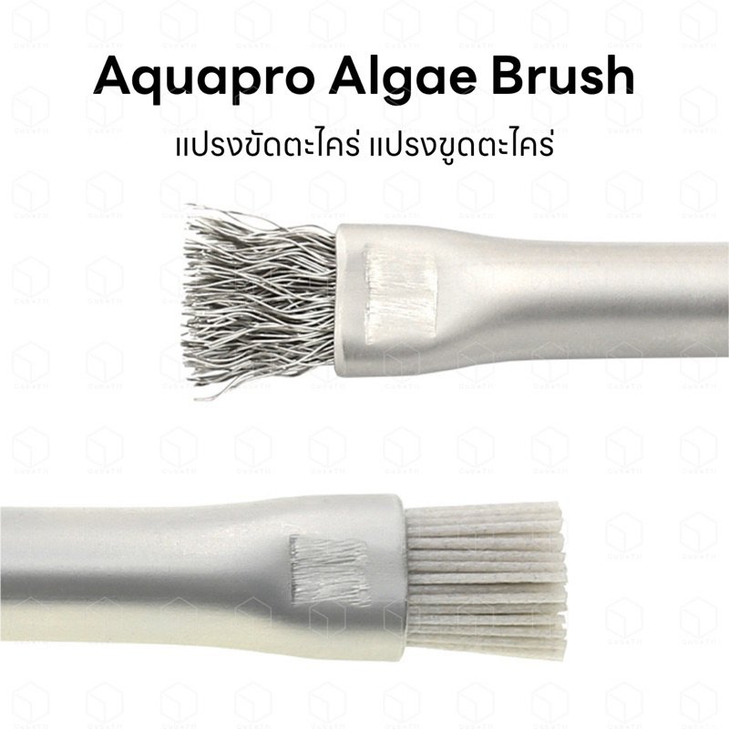 Aquapro Algae Brush แปรงขัดตะไคร่ แปรงขูดตะไคร่