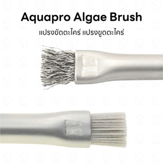 Aquapro Algae Brush แปรงขัดตะไคร่ แปรงขูดตะไคร่