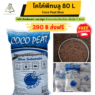 ✅ส่งฟรี โคโค่พีทบลู 80 ลิตร (Cocopeat Blue substrate) ขุยมะพร้าวล้างแทนนิน 3-5 mm