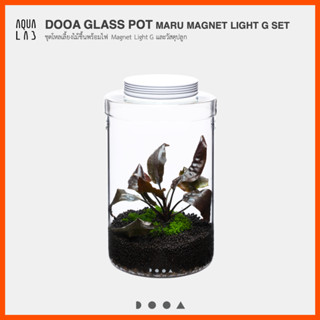 DOOA GLASS POT MARU MAGNET LIGHT G SET ชุดโหลเลี้ยงไม้ชื้นพร้อมไฟ Magnet Light G และวัสดุปลูก