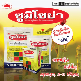 ซูมิโซย่า 100g. ฟลูมิออกซาซิน สารคุมและกำจัดหญ้าใบแคบบกว้างและกก คุมแห้งในมันสำปะหลัง อ้อย ข้าว ถั่วเหลืองallaboutplants