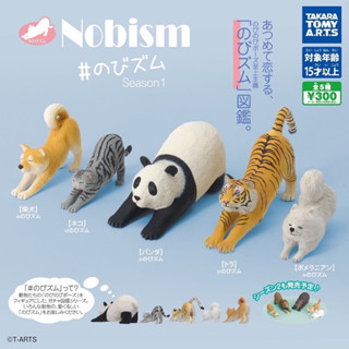 🅟🅕 กาชาปองสัตว์ยืดเส้นยืดสาย ผ่อนคลายอิริยาบถ 🐱🐶🐯🐼Animal Nobism season 1️⃣ gashapon