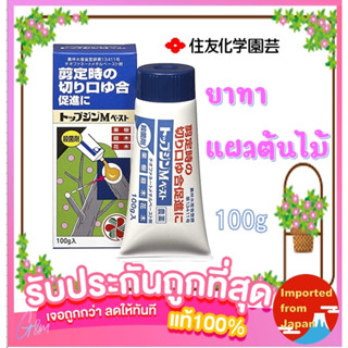 พร้อมส่งจากไทย🧡 ยาทาแผล ต้นไม้ดีที่สุด ยาปิดแผล 100g ท็อปจิน เอ็มเพสต์