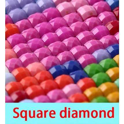 (พร้อมส่ง) ภาพติดเพช