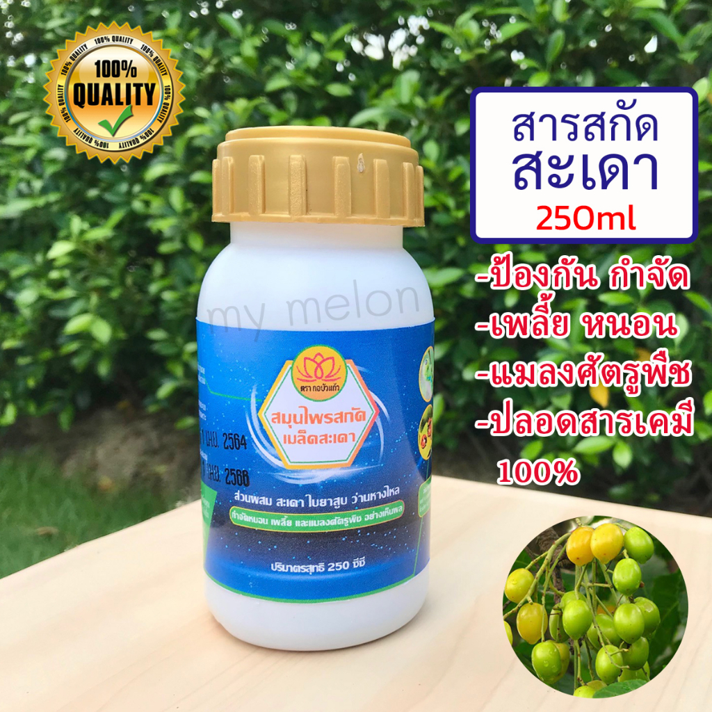 สารสกัดสะเดา 250ml ป้องกันกำจัดเพลี้ย หนอน แมลงศัตรูพืช ปลอดสารเคมี 100%