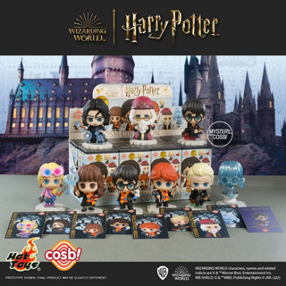 ❣️พร้อมส่ง...แบบยกกล่อง❣️HOT TOYS x COSB! • CBX059 Harry Potter Cosbi Collection