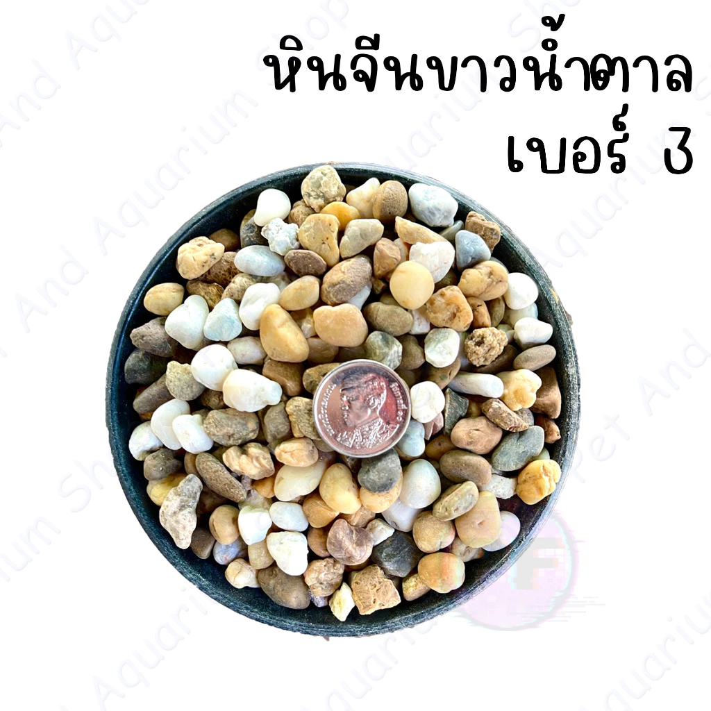หินจีนขาวน้ำตาล หินตกแต่งตู้ปลา หินโรยหน้ากระถ่างต้นไม้  1 กิโล 20 thumbnail 5