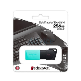 Flash Drive Kingston USB 3.2 256GB #DTXM