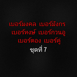 เบอร์มงคล เบอร์มังกร เบอร์หงษ์ เบอร์ตอง เบอร์คู่ เบอร์กวนอู ชุดที่ 7