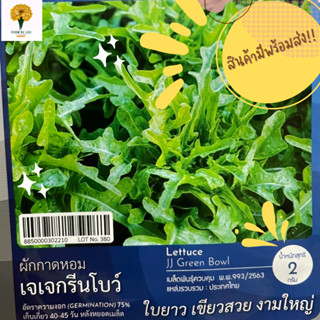 เมล็ด ผักกาดหอม เจเจกรีนโบว์ ( Lettuce jj Green bowl )