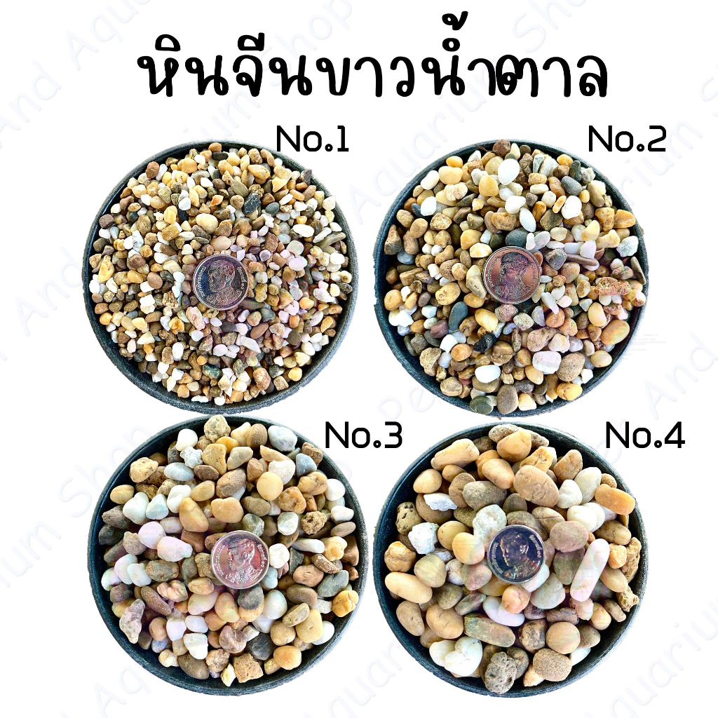 หินจีนขาวน้ำตาล หินตกแต่งตู้ปลา หินโรยหน้ากระถ่างต้นไม้ 1 กิโล 20