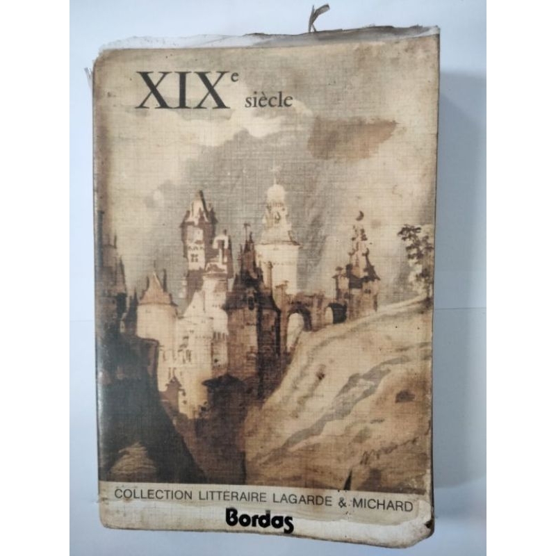 The French Literature in The 19th Century