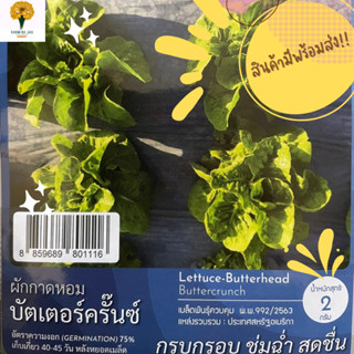 เมล็ดผักกาดหอม บัตเตอร์ครั๊นซ์ ( Lettuce-Butterhead Buttercrunch )