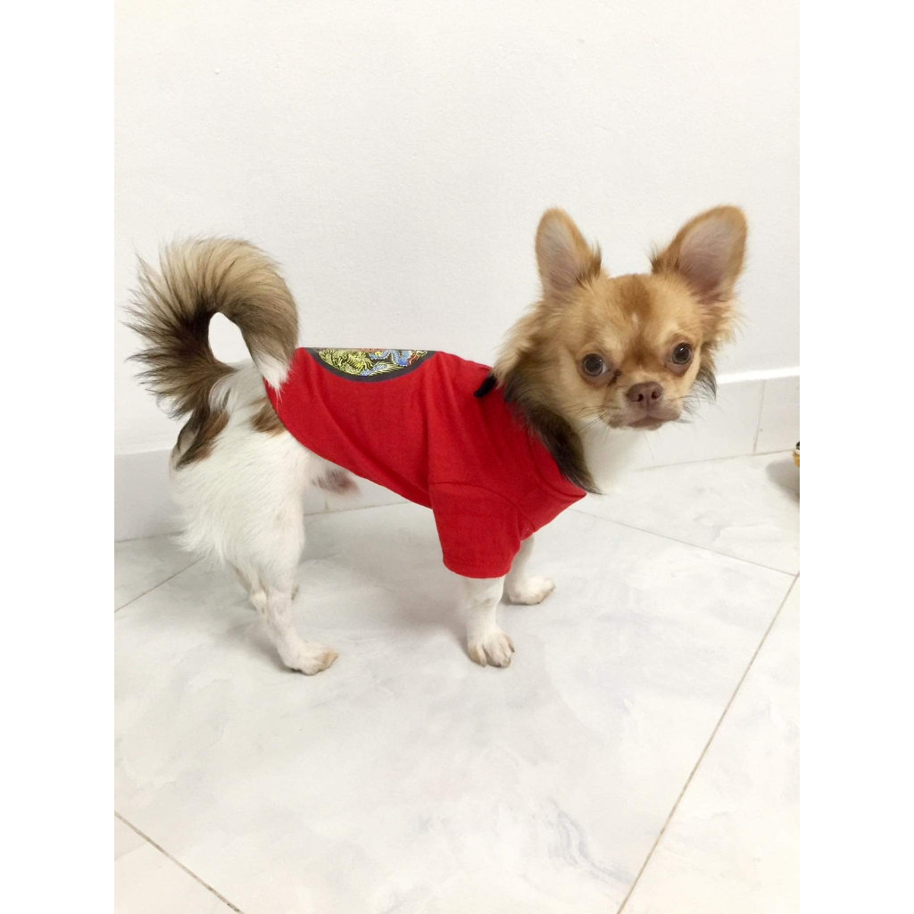PetSociety เสื้อสุนัข-แมว เสื้อยืดคอจีน แต่งกระดุม ชุดเทศกาลตรุษจีน - รูปที่ 5