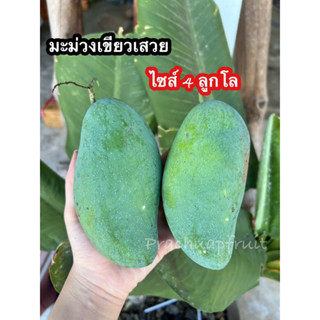 มะม่วงเขียวเสวย 1 กิโลกรัม[ขนาดกลาง] 🥭 ✅พร้อมส่ง ✅ มะม่วงมัน…