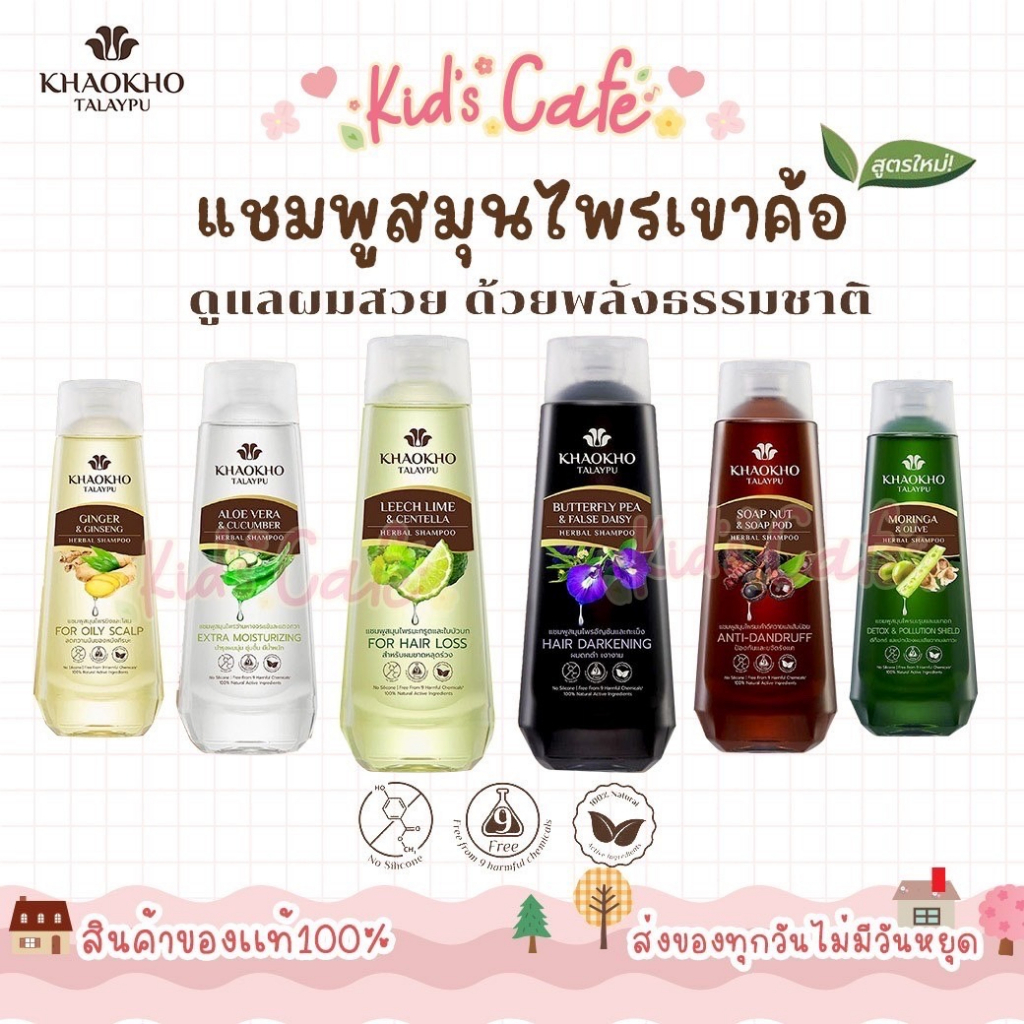 ส่งด่วนทุกวัน เขาค้อทะเลภู แชมพูผมร่วง สำหรับลดผมขาดหลุดร่วง ฟื้นฟูบำรุงผม